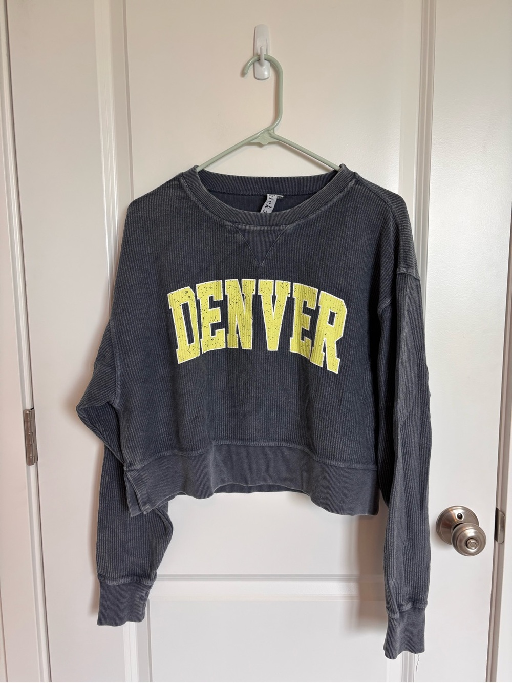 Chickadee Denver Graphic Ribbed Cropped Sweatshirt Charcoal Blue Yellow